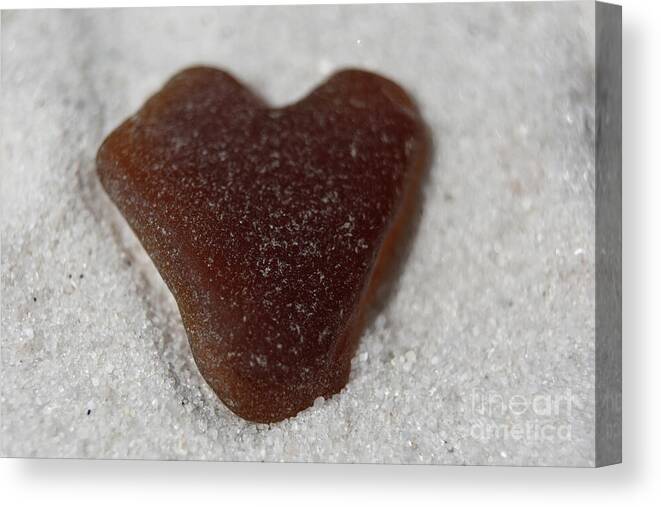  Canvas Print featuring the photograph Brown Heart Shaped Sea Glass on a Beach by DejaVu Designs