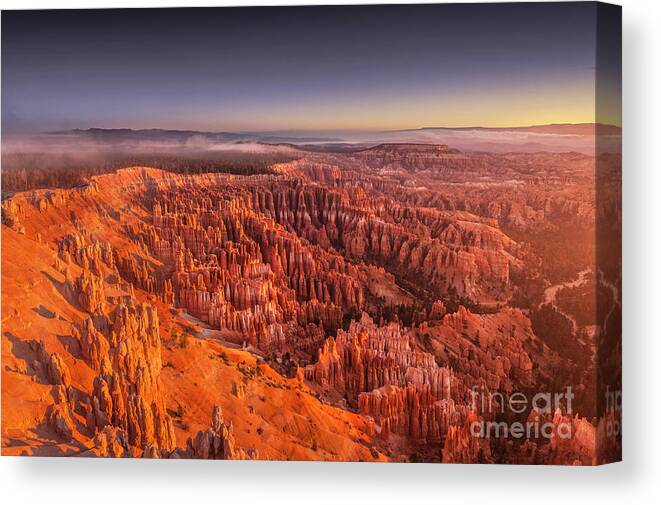 Bryce Canyon National Park Canvas Print featuring the photograph Bryce Canyon amphitheatre at sunrise Utah by Neale And Judith Clark