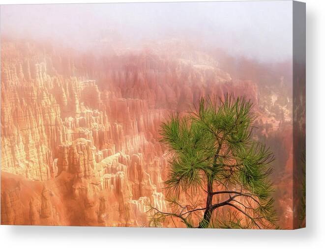 Landscape Canvas Print featuring the photograph Bryce Canyon by Gaye Bentham