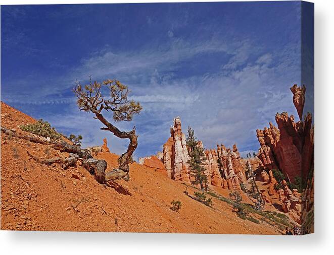 Bryce Canyon National Park Canvas Print featuring the photograph Bryce Canyon National Park - Shaped by the Wind by Yvonne Jasinski