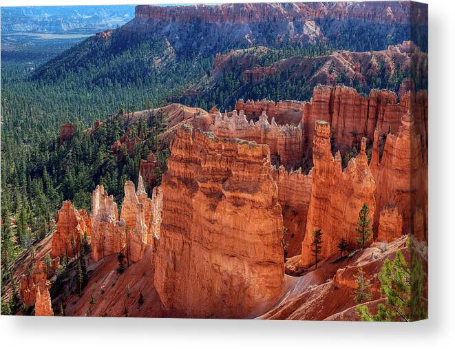 Canyon Canvas Print featuring the photograph Bryce In Color by Paul Freidlund