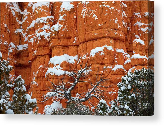 Bryce Canyon National Park Canvas Print featuring the photograph Winter Wonderland by Brian Knott Photography