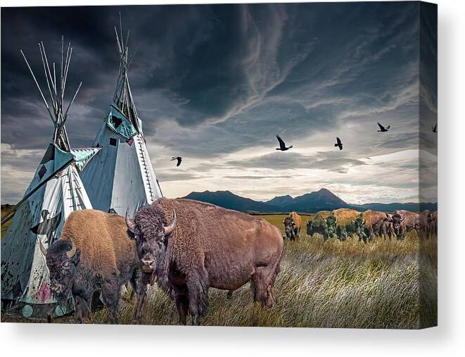 Native Canvas Print featuring the photograph Buffalo Herd by Indian Tepees with Blackbirds by Randall Nyhof