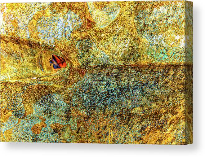 Yellow Canvas Print featuring the photograph Burned Car Door Fractal by Liquid Eye