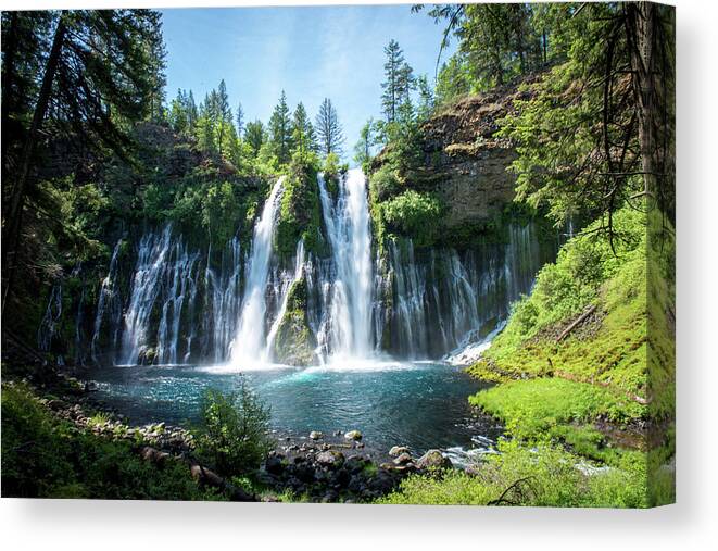 Lassen Canvas Print featuring the photograph Burney Falls by Aileen Savage