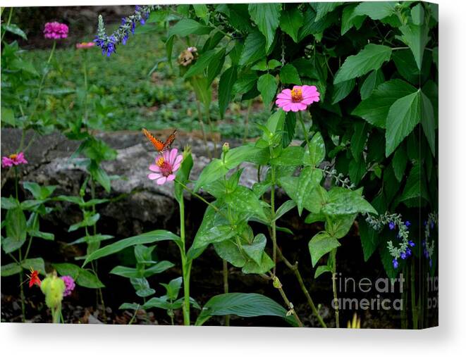 Butterfly Photograph Canvas Print featuring the photograph Butterfly Garden by Expressions By Stephanie
