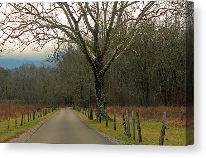 Landscape Canvas Print featuring the photograph Cade's Cove by Jamie Tyler