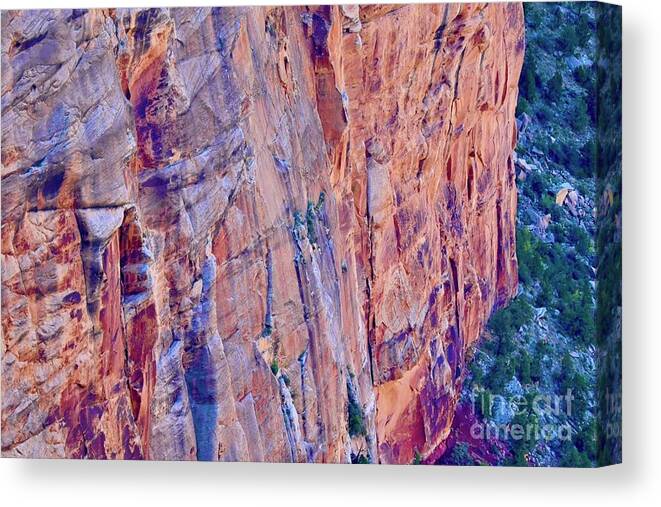 The Grand Canyon Canvas Print featuring the digital art Canyon Walls by Tammy Keyes