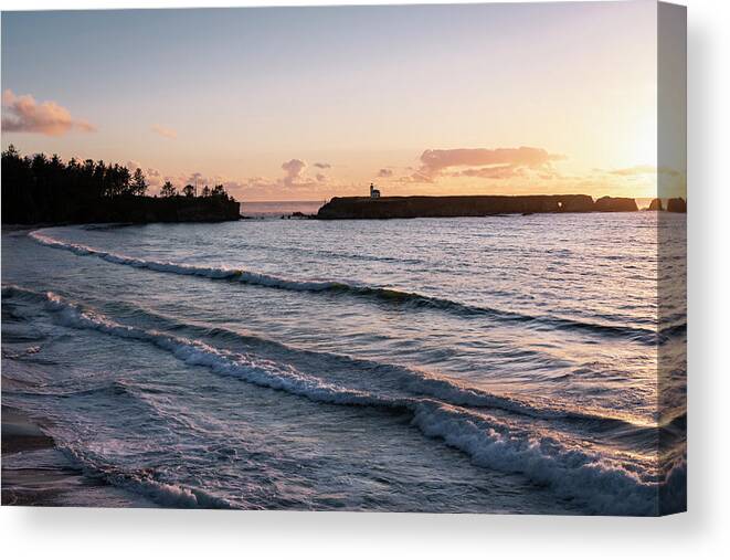 Sunset Canvas Print featuring the photograph Cape Arago Gold by Steven Clark