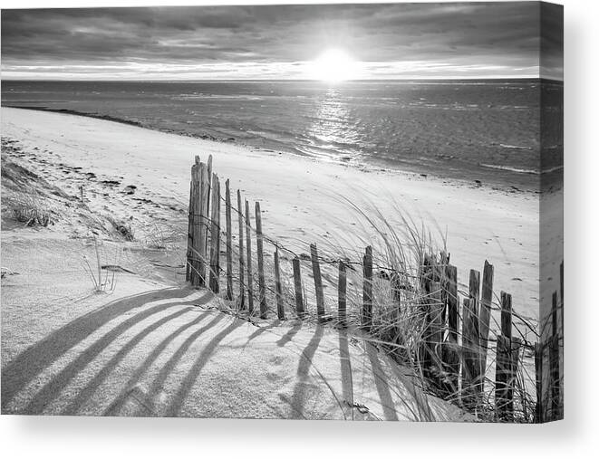 Cape Cod Beach Fence Canvas Print featuring the photograph Cape Cod Beach Fence by Darius Aniunas
