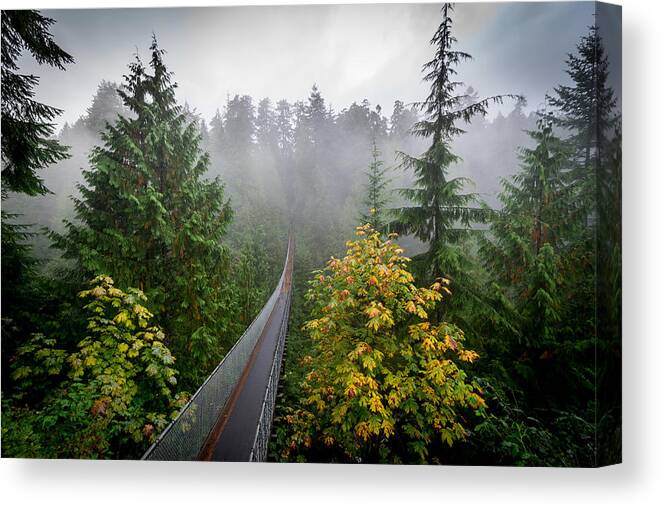 Tranquility Canvas Print featuring the photograph Capilano suspension bridge over rainforest, Vancouver, British Colombia, Canada by Richard Thrasher