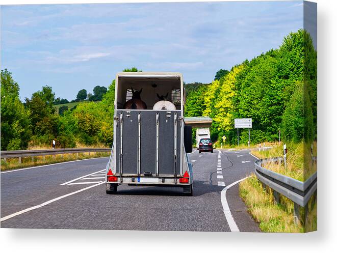 Journey Canvas Print featuring the photograph Car with horse trailer on road by EKH-Pictures