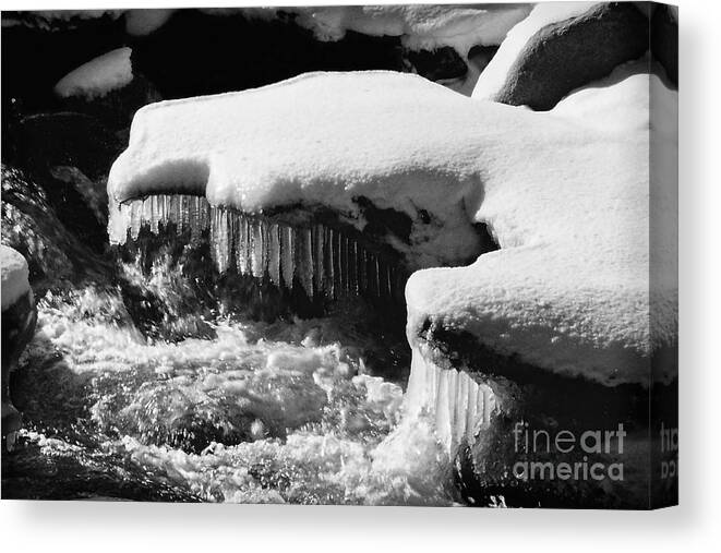 Icicles Canvas Print featuring the photograph Carson River Chandelier by Brian Watt