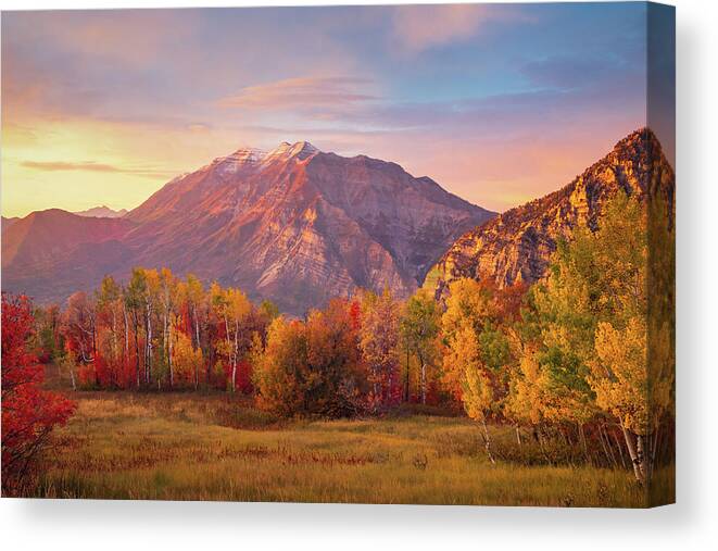 Autumn Canvas Print featuring the photograph Cascade Meadows Fall Color Spectrum Sunset by Wasatch Light