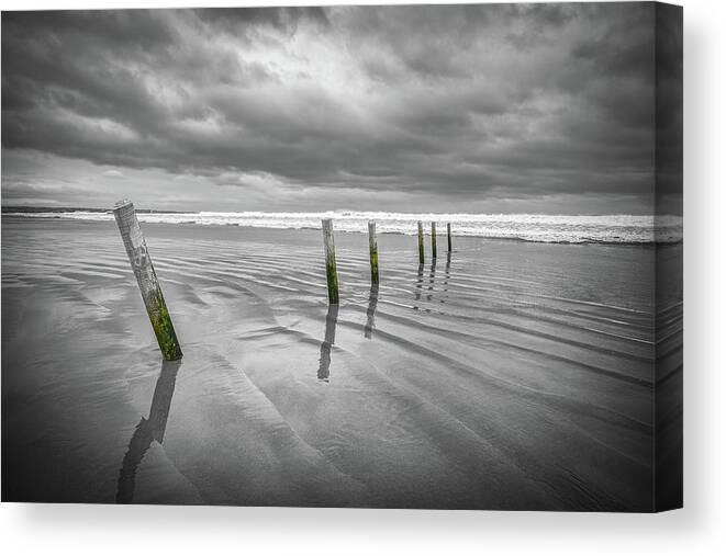 Posts Canvas Print featuring the photograph Castlerock Beach Posts by Nigel R Bell