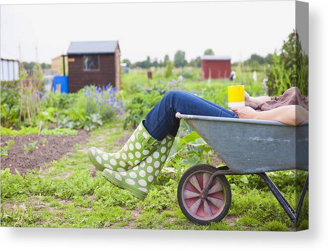 Tranquility Canvas Print featuring the photograph Caucasian gardener laying in wheelbarrow in garden by Jacobs Stock Photography Ltd