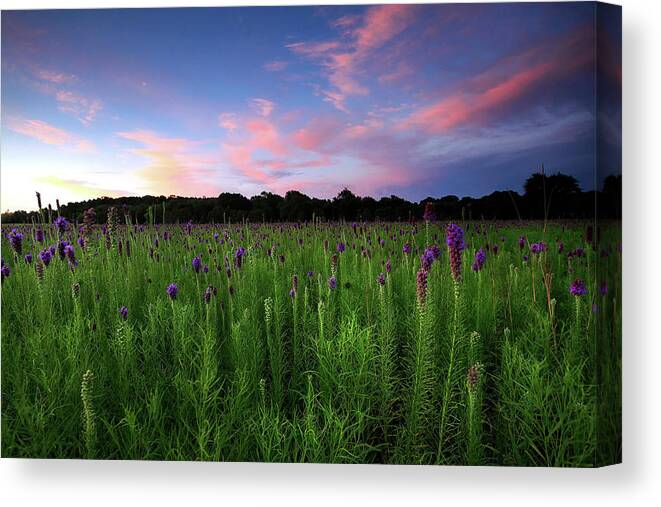  Canvas Print featuring the photograph Cherokee Prairie at Sunset by William Rainey