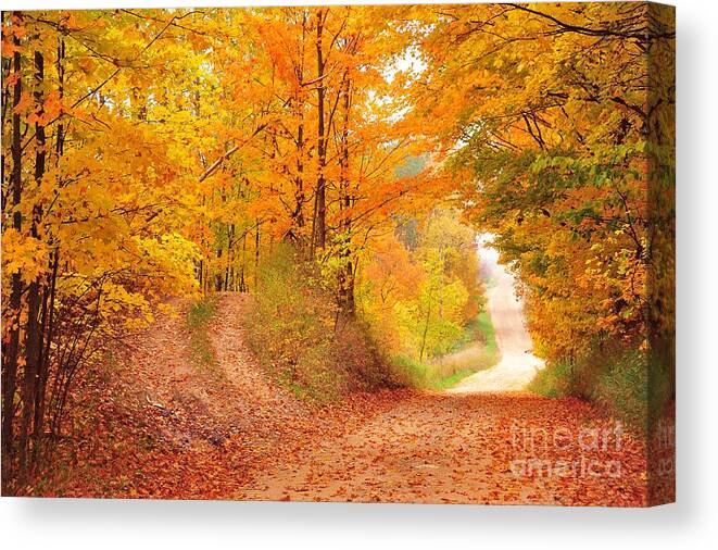 Autumn Canvas Print featuring the photograph The Road Less Taken by Terri Gostola