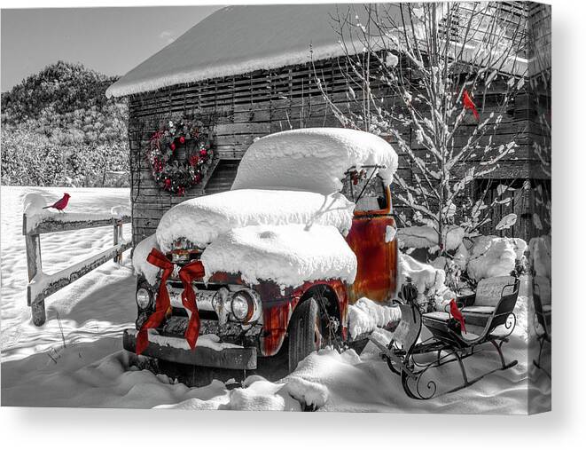 Barns Canvas Print featuring the photograph Christmas Cardinals Black and White and Red by Debra and Dave Vanderlaan