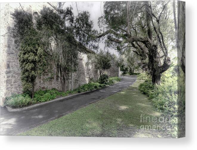 Albany Canvas Print featuring the photograph Church Lane, Albany, Western Australia by Elaine Teague