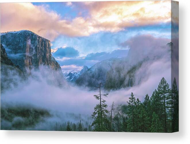 Yosemite National Park Canvas Print featuring the photograph Circle Of Life by Jonathan Nguyen