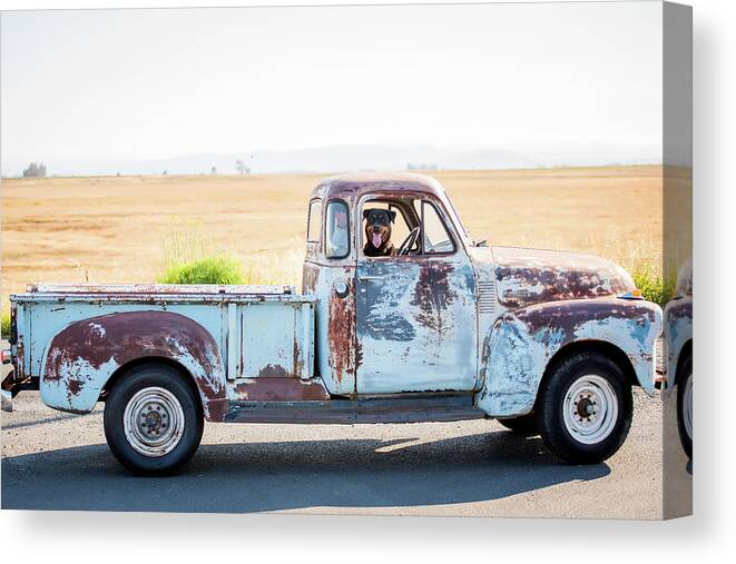 Classic Truck Canvas Print featuring the photograph Classic Truck and Man's best friend by Aileen Savage