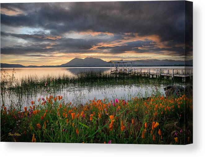 Landscape Canvas Print featuring the photograph Clear Lake Sunrise by Devin Wilson