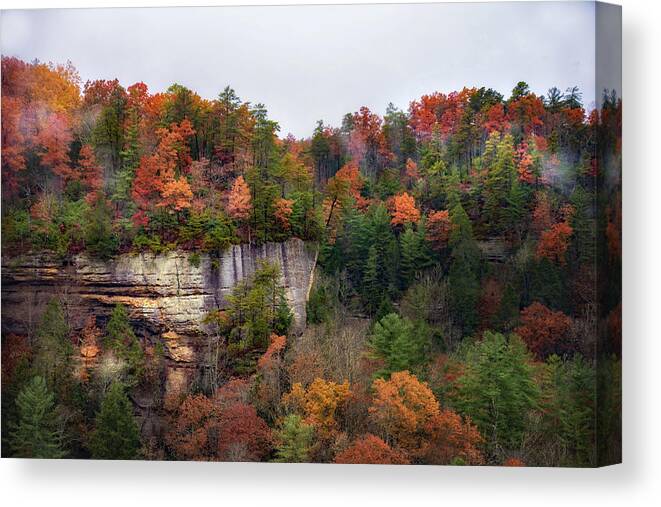 Red River Valley Canvas Print featuring the photograph Cliffs of Red River Valley by Jolynn Reed