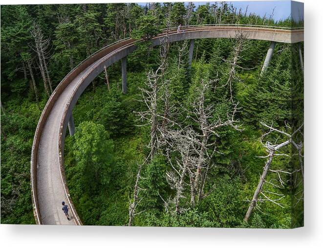 Clingmans Dome Canvas Print featuring the photograph Clingmans Dome Ramp by Kevin Craft