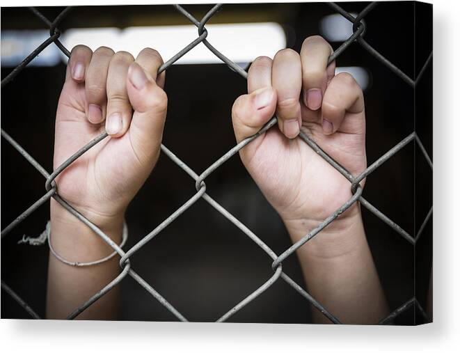 Punishment Canvas Print featuring the photograph Close up single girl child holding the cage, concept of life imprisonment by Holwichaikawee