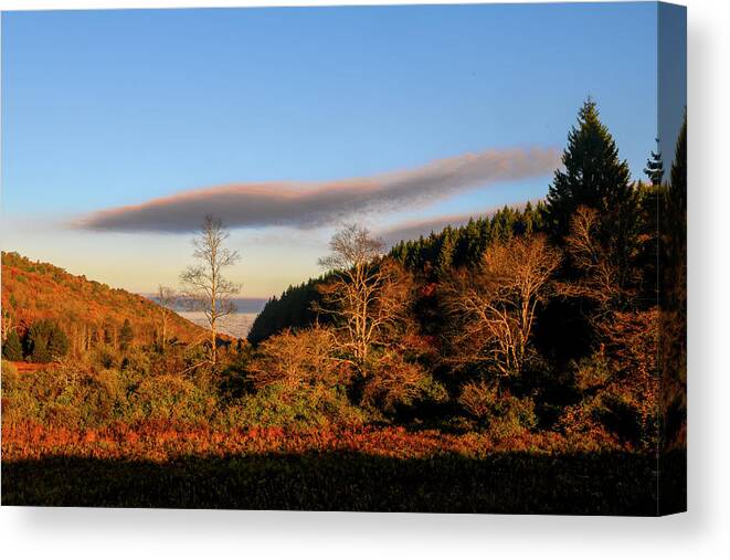 Cloud Canvas Print featuring the photograph Cloud in the sky by Dan Friend