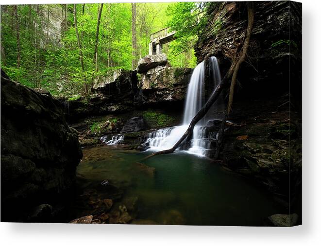 Cloudland Canyon Canvas Print featuring the photograph Cloudland Canyon Bridge by Andy Crawford
