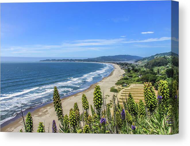 Bolinas Bay Canvas Print featuring the photograph Coastal Scene by Dawn Richards
