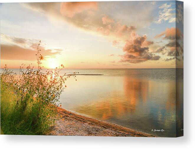 Coast Canvas Print featuring the photograph Coastal Sunset by Christopher Rice
