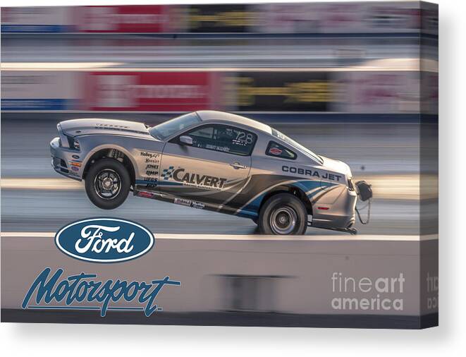 Ford Canvas Print featuring the photograph Cobra Jet action by Darrell Foster