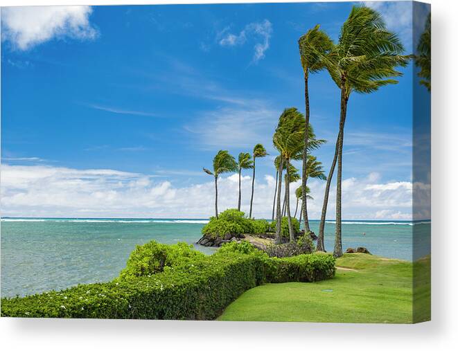 Coconut Canvas Print featuring the photograph Coconut palms along the shoreline by David L Moore