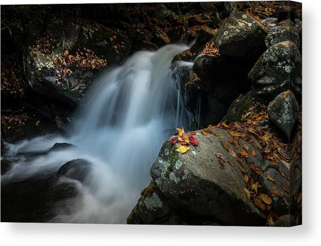 Fall Colors Canvas Print featuring the photograph Cold Mountain Cascade by Darrell DeRosia