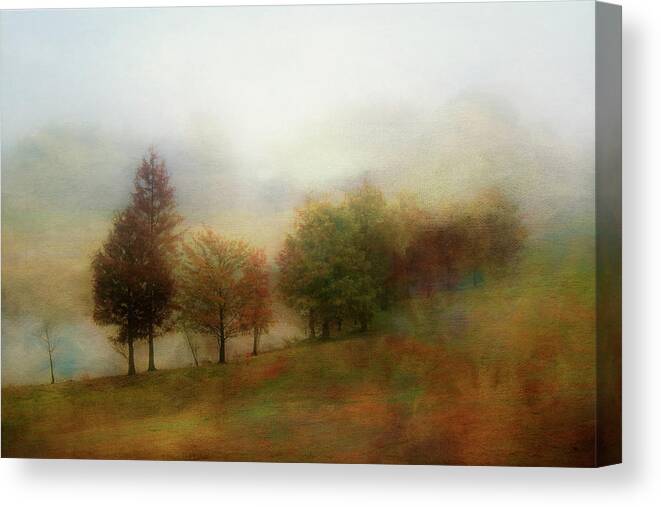 Tree Canvas Print featuring the photograph Color Line by Pete Rems