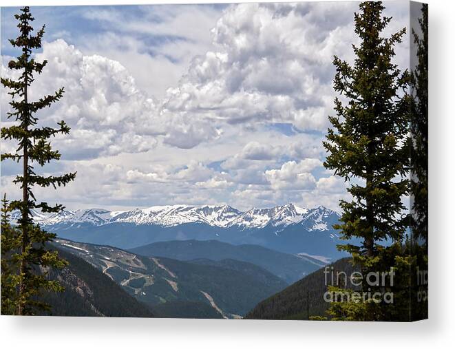 Rocky-mountains Canvas Print featuring the photograph Colorado Ski Slopes In The Summer by Kirt Tisdale