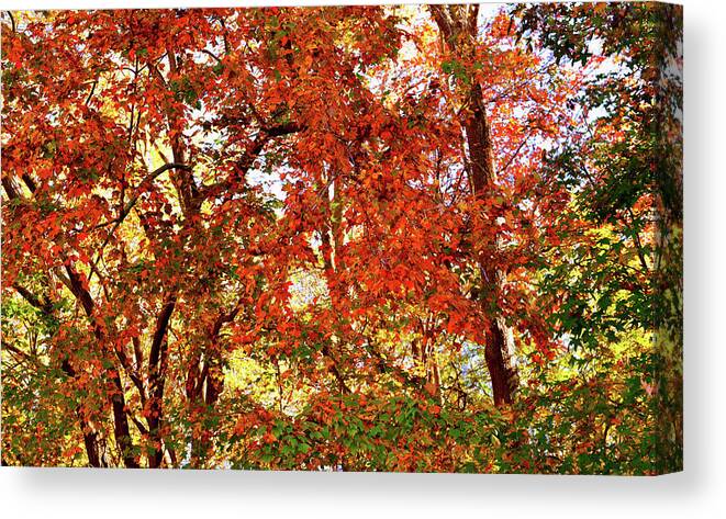 Autumns Canvas Print featuring the photograph Colorful Autumn Leaves 3 High Resolution XL by Katy Hawk