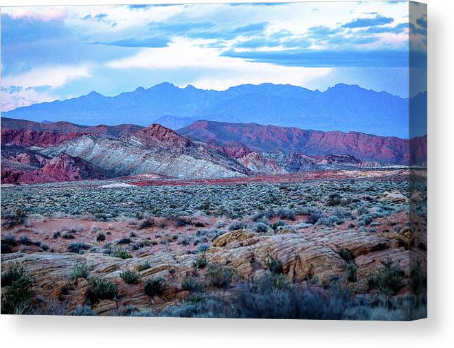 Desert Canvas Print featuring the photograph Colorful Desert by Courtney Eggers