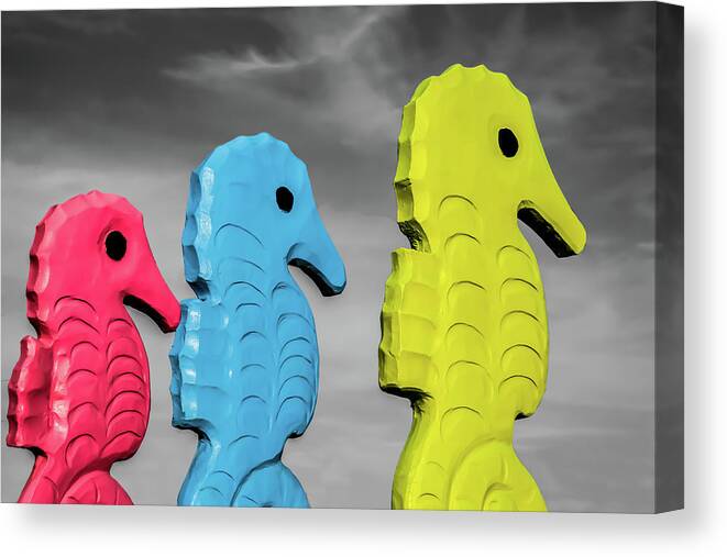 Port Aransas Texas Canvas Print featuring the photograph Colorful Port Aransas Seahorses by Terry Walsh