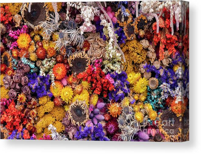 Pressed Dried Flowers by Tim Gainey
