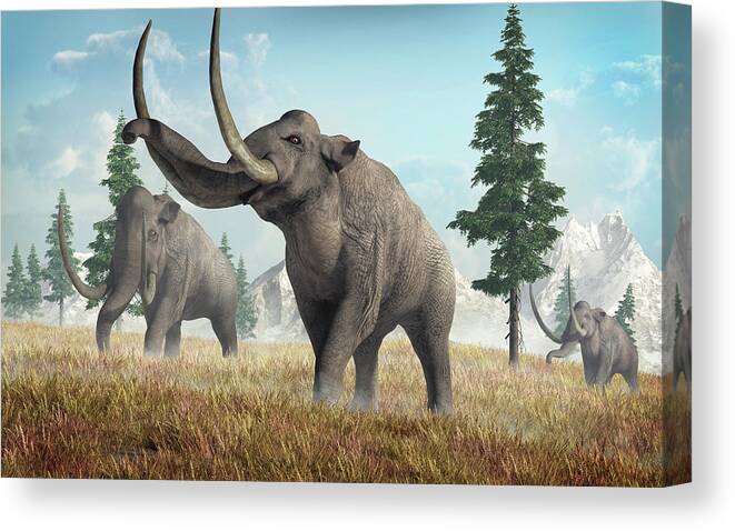 Columbian Mammoth Canvas Print featuring the digital art Columbian Mammoths by Daniel Eskridge