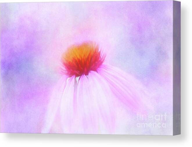 Purple Coneflower Canvas Print featuring the digital art Coneflower Confection by Anita Pollak