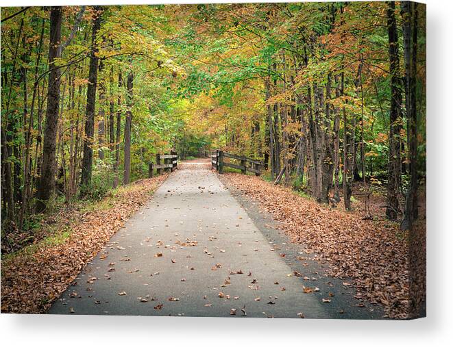 Connecticut Canvas Print featuring the photograph Connecticut Foliage_7828 by Rocco Leone