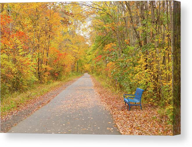 Connecticut Canvas Print featuring the photograph Connecticut Foliage_8057 by Rocco Leone