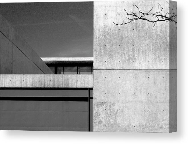 Architecture Canvas Print featuring the photograph Contemporary Concrete Block Architecture Tree by Patrick Malon