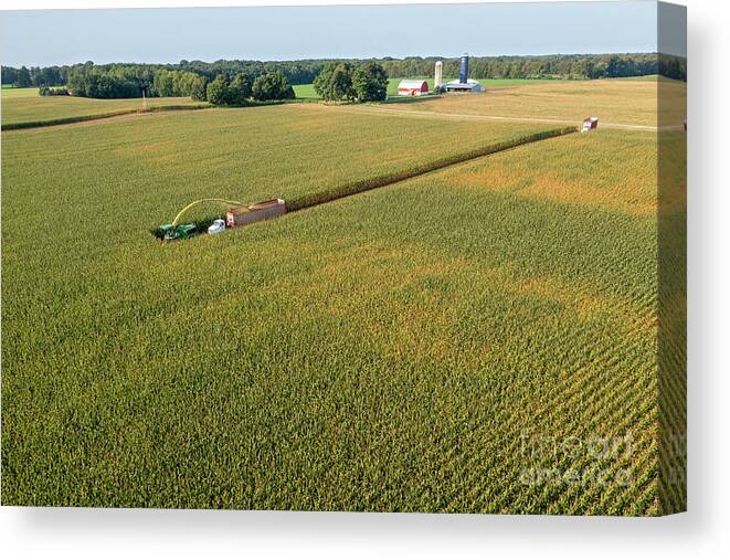 Corn Canvas Print featuring the photograph Corn Harvest 2 by Jim West