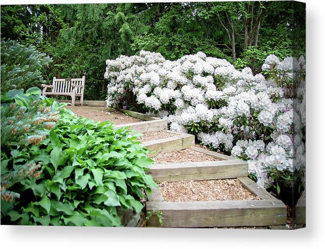 Rhododendron Canvas Print featuring the photograph Cornell Botanic Gardens #7 by Mindy Musick King
